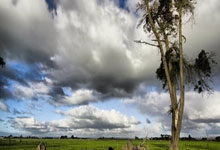 老铁们，一起来唠唠《天涯社区儋州版》这些事儿！