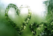 老铁们，一起来唠唠《天涯社区儋州版》这些事儿！