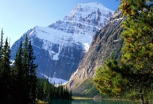 老公出轨，在天涯论坛上炸开了锅。这事儿闹得，简直是人间惨剧！