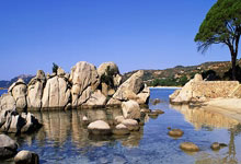 老公出轨，在天涯论坛上炸开了锅。这事儿闹得，简直是人间惨剧！